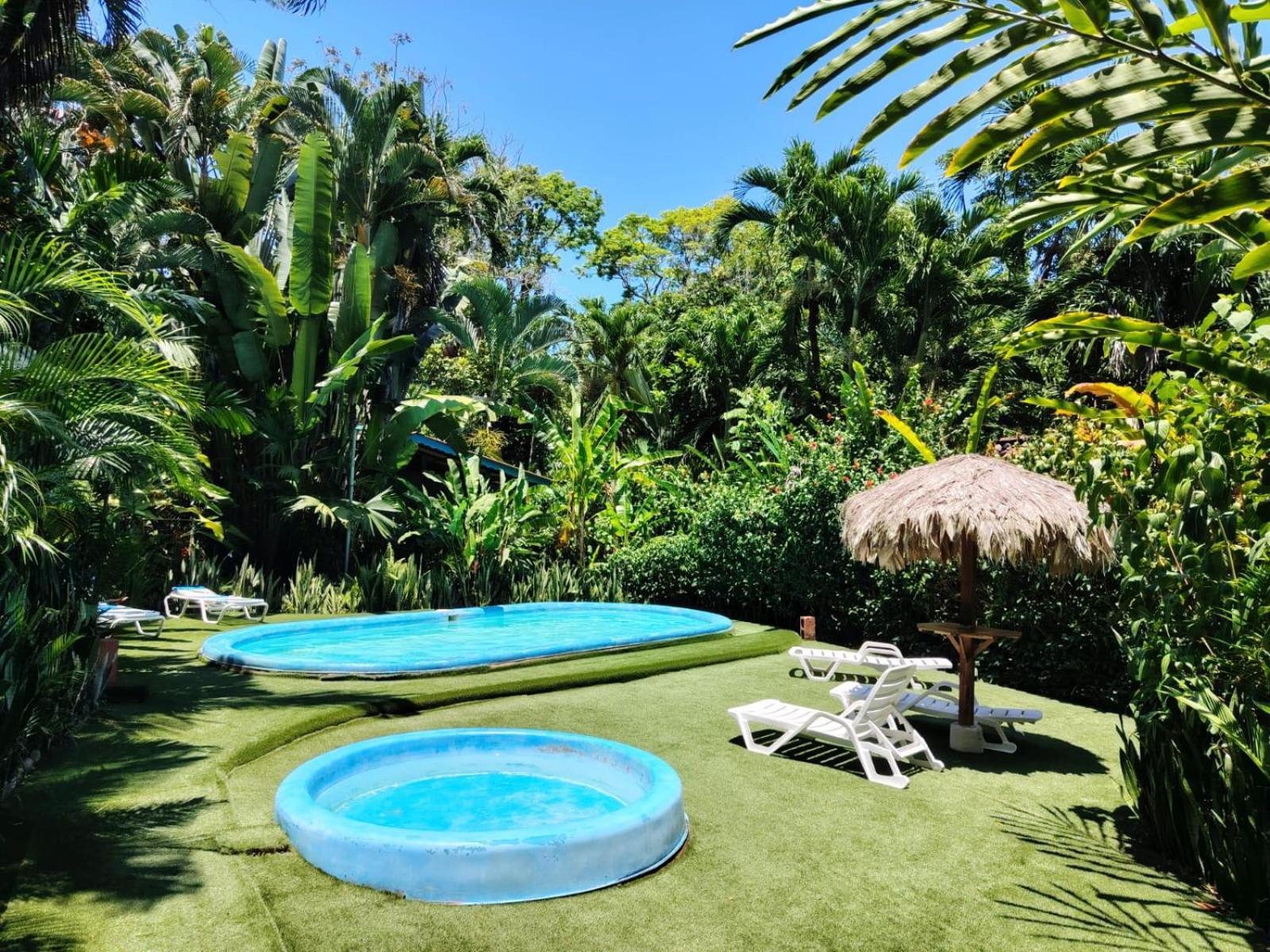 Luna Caribena Village Puerto Viejo de Talamanca Exterior foto