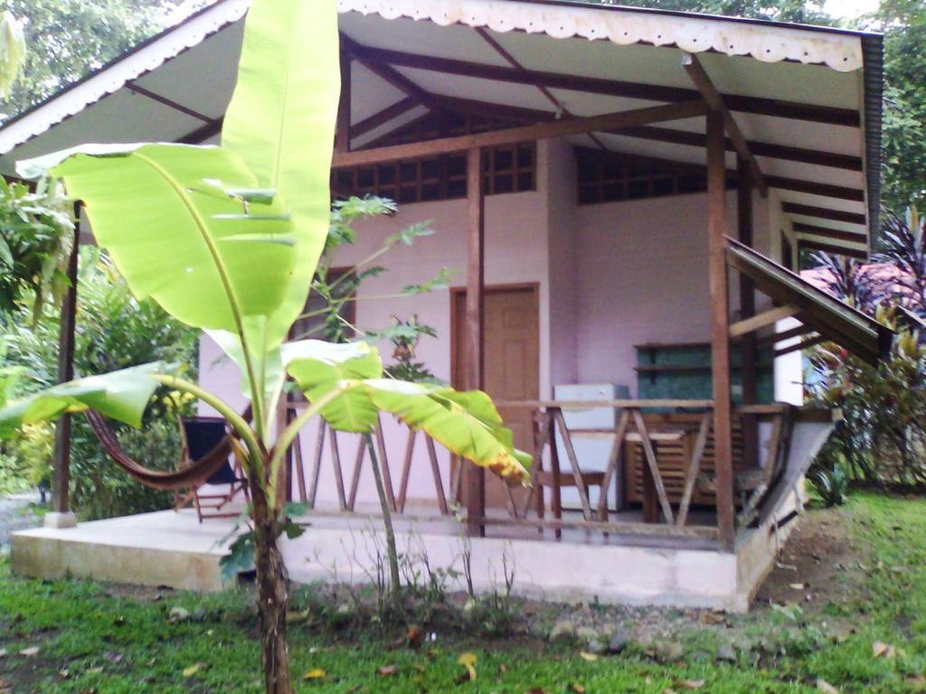 Luna Caribena Village Puerto Viejo de Talamanca Exterior foto