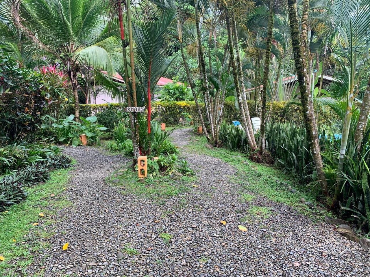 Luna Caribena Village Puerto Viejo de Talamanca Exterior foto