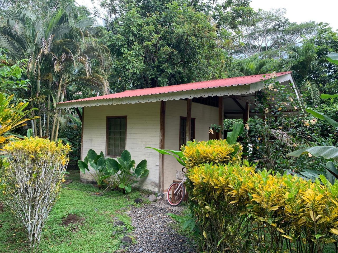 Luna Caribena Village Puerto Viejo de Talamanca Exterior foto