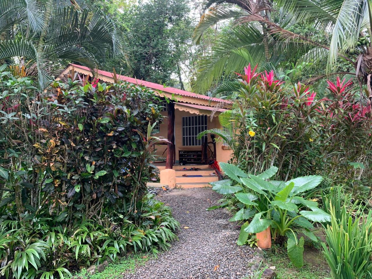 Luna Caribena Village Puerto Viejo de Talamanca Exterior foto
