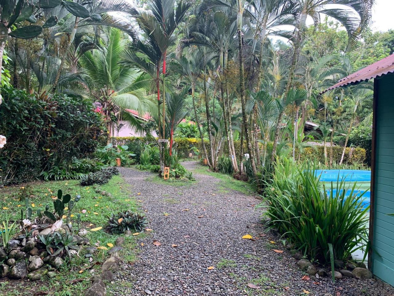 Luna Caribena Village Puerto Viejo de Talamanca Exterior foto