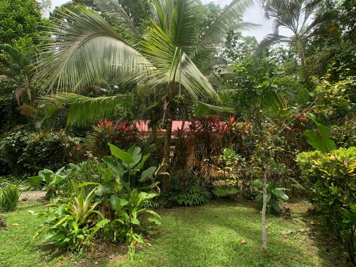 Luna Caribena Village Puerto Viejo de Talamanca Exterior foto